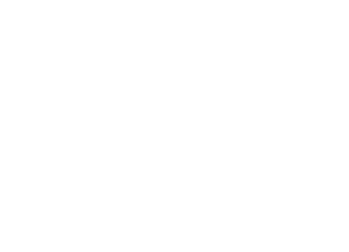 logo noa white